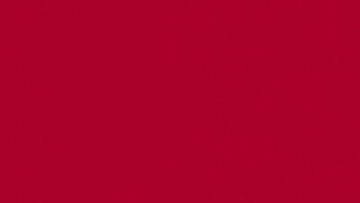 303 rubinrot | 440 bordeaux