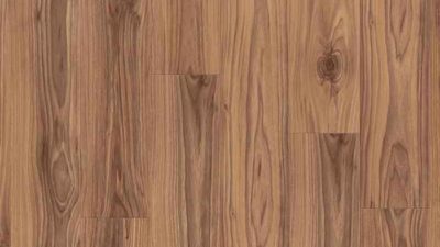 American Walnut Cinnamon