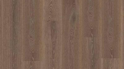 Highland Oak Arabica