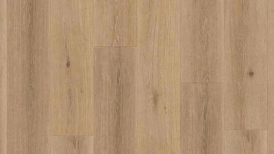 Highland Oak Noisette