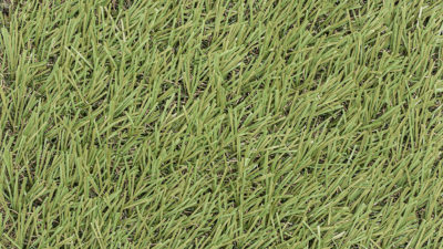 617 rasengrün | 520 rasen