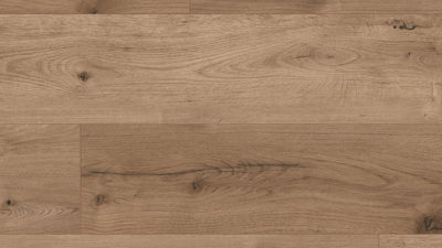 Eiche Ferrara Wildlife